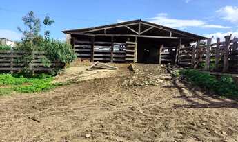 Imagem 7: Fazenda com 709 hectares e 10 km de margem de rio