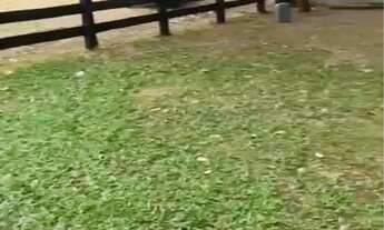 Imagem 7: SÍTIO 20 HECTARES PROX CINQUENTINHA