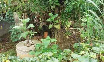 Imagem 3: Terreno plano para venda - 800 m - Freitas - São José dos Campos - SP