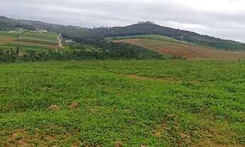 Imagem 5: Imóvel para venda tem 500 metros quadrados em Centro (Caucaia do Alto) - Cotia - SP