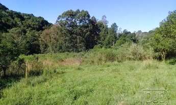 Imagem 13: Chácara,bairro Desvio Rizzo