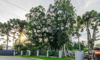 Imagem: Terreno de Esquina no Bairro Carniel - Excelente