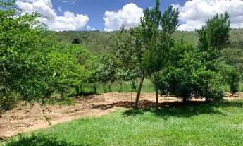 Imagem 6: Terreno 4.5 ha, 100% formado em pastagem, agua corrente nos fundos, pomar