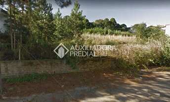 Imagem 2: Terreno no bairro Colina Sorriso