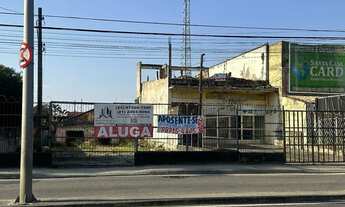 Imagem 6: Imperdível alugo 2 terrenos centro Cp°. Grande com 528m²