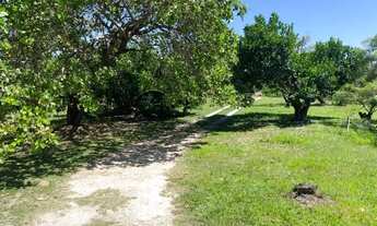 Imagem 2: Sitio em área urbana no Marcos Freire III