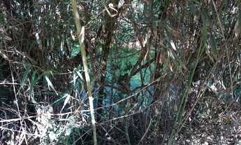 Imagem 2: Sítio em Limeira