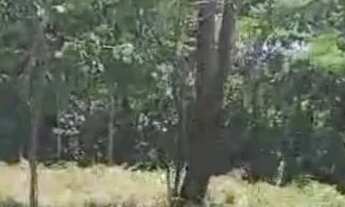 Imagem: Excelente Rancho na Serra da Mesa