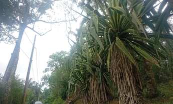Imagem 3: 3 mil mts quadrados apenas 1 km da rodovia