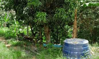 Imagem 6: Venda-se está propriedade de 7,5 alqueires e meio no Município de presidente Kennedy/ES