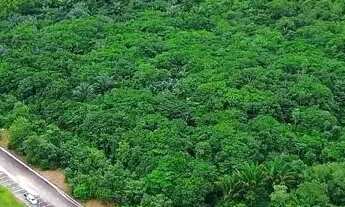 Imagem 3: Imóvel para venda possui 220000 metros quadrados em Centro - Iranduba - AM