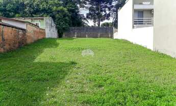 Imagem 3: Vendas Terreno Curitiba PR