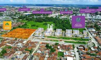 Imagem 2: Mata das Carnaúbas