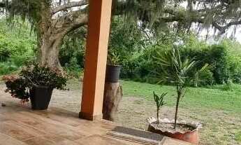 Imagem 7: Velleda oferece Magnífico sítio 10 hectares a 600 metros do asfalto em Morro Grande