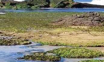 Imagem 4: Imóvel para venda com 64 metros quadrados com 2 quartos em Stella Maris - Salvador - BA