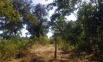 Imagem 5: Terreno à venda em zona rural em Santo Antônio de Leverger-MT