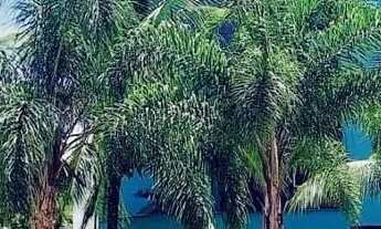 Imagem 2: Alugo Apto direto com Proprietário!