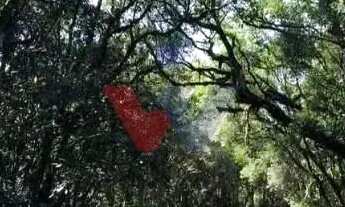 Imagem 5: Chácara com 3 dormitórios à venda,5000.00 m , Recreio da Serra, PIRAQUARA - PR