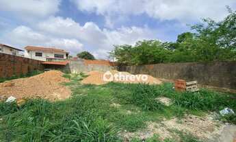 Imagem 5: Terreno para alugar, 600 m² por R$ 3.000,01/mês - Horto - Teresina/PI