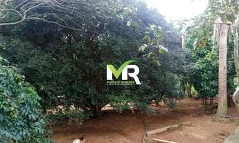 Imagem 5: Sítio de 2 Alqueires em Cristinópolis - GO a Venda!