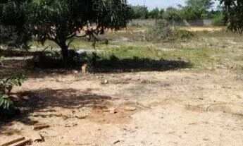 Imagem 2: Terreno em Ulisses Guimarães