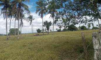 Imagem 7: 380 ta. Br 101/ Lage -Ba