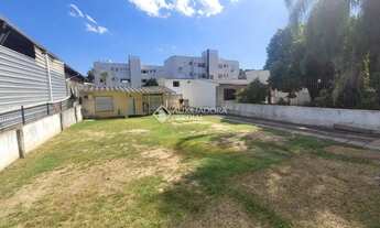 Imagem 3: Excelente terreno Comercial/Residencial