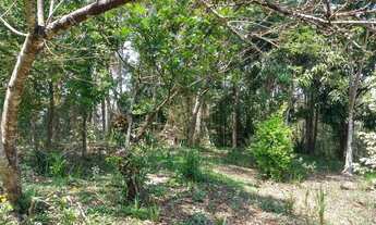 Imagem: Vendo chácara Bonsucesso (igreja de Santa