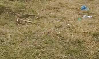 Imagem 4: Terreno à Venda em Mogi das Cruzes Campo Grande Santo Ângelo - próxima à avenida Japão