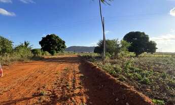 Imagem 2: Terrenos para chácara