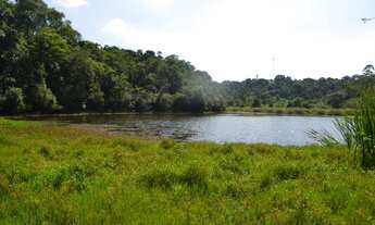 Imagem 7: Sorocaba Prox. Castelinho 6 Hectares