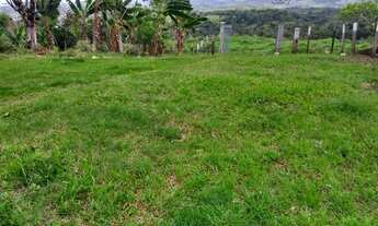 Imagem 5: Fazenda com 164.000 m2 ou 16,42 hactares