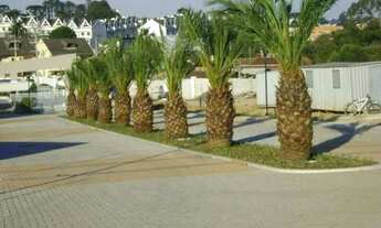 Imagem: Terreno à venda, 700 m² por R$ 769.000,00