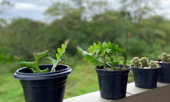 Imagem 2: Alugo kitnet - murta em itajai sc