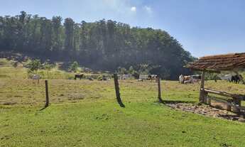 Imagem 3: Sitio 15 alqueires para Pecuária - Piracicaba - SP
