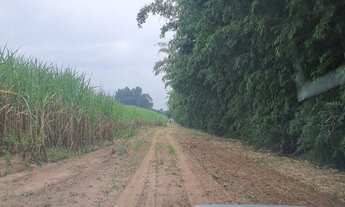 Imagem 3: Sitio 18 alqueires - Ipeúna - SP