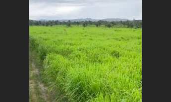 Imagem 3: Vende se terra cel