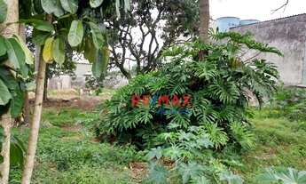 Imagem 4: Terreno à venda, 800 m² por R$ 1.350.000,00 - Vila Moraes - São Paulo/SP