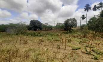 Imagem 6: Fazenda para venda. Com 9.950.000m² - casa sede com 5 quartos