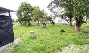 Imagem 3: Vendo sítio Fazenda / sítio com venda por R$175.000