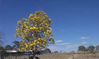 Imagem 2: Fazenda em Padre Bernardo