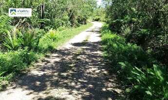 Imagem 6: Chácara à venda em Morretes/PR