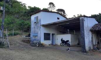 Imagem 3: Fazenda para venda possui 78 hectares ( IMPERDÍVEL/ PECHINCHA) VENDER RÁPIDO