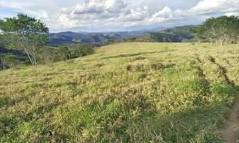 Imagem 6: Linda fazenda com 43 alqueires e meio. Linda, toda formada