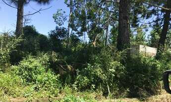 Imagem 3: Lote/Terreno para venda tem 250 metros quadrados em Sao Joao Batista III - Peruíbe - SP