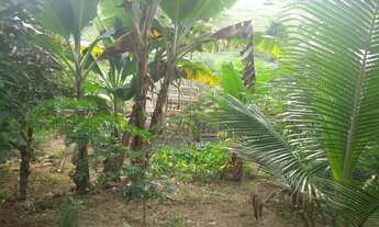 Imagem 2: Vendo chácara em Viana