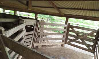 Imagem 3: Vende se chácara