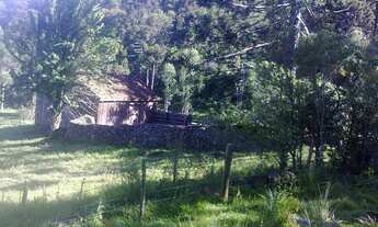 Imagem 6: VENDE-SE SÍTIO 60 HECTARES