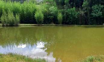 Imagem 4: Chácara para Venda, centro, 2 dormitórios, 2 banheiros