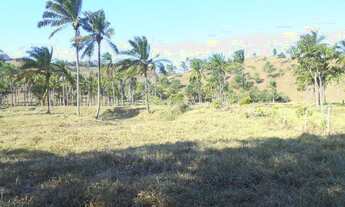 Imagem 6: Fazendinha município Aratuípe -Bahia